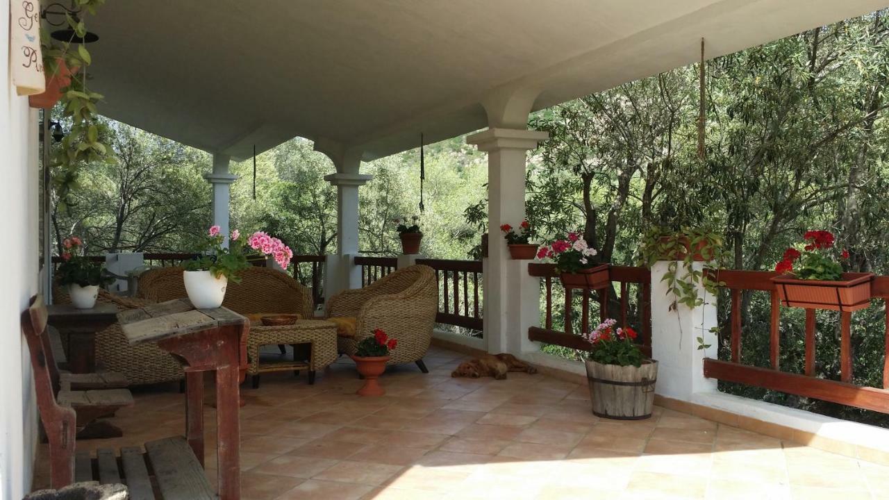 MaravillaLoiri Porto San Paolo エクステリア 写真