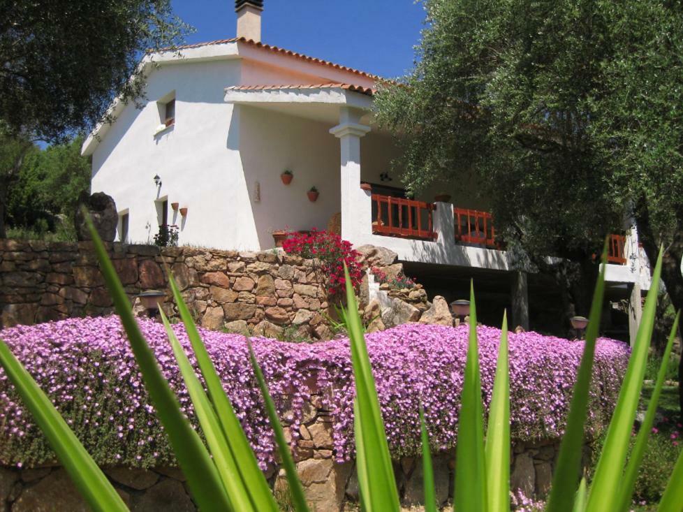 MaravillaLoiri Porto San Paolo エクステリア 写真